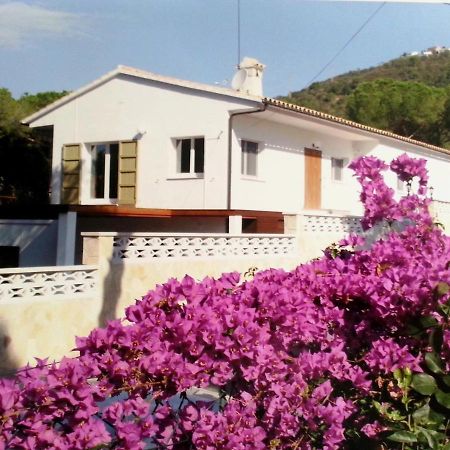 Villa Felices Juntos Platja d'Aro Exterior photo