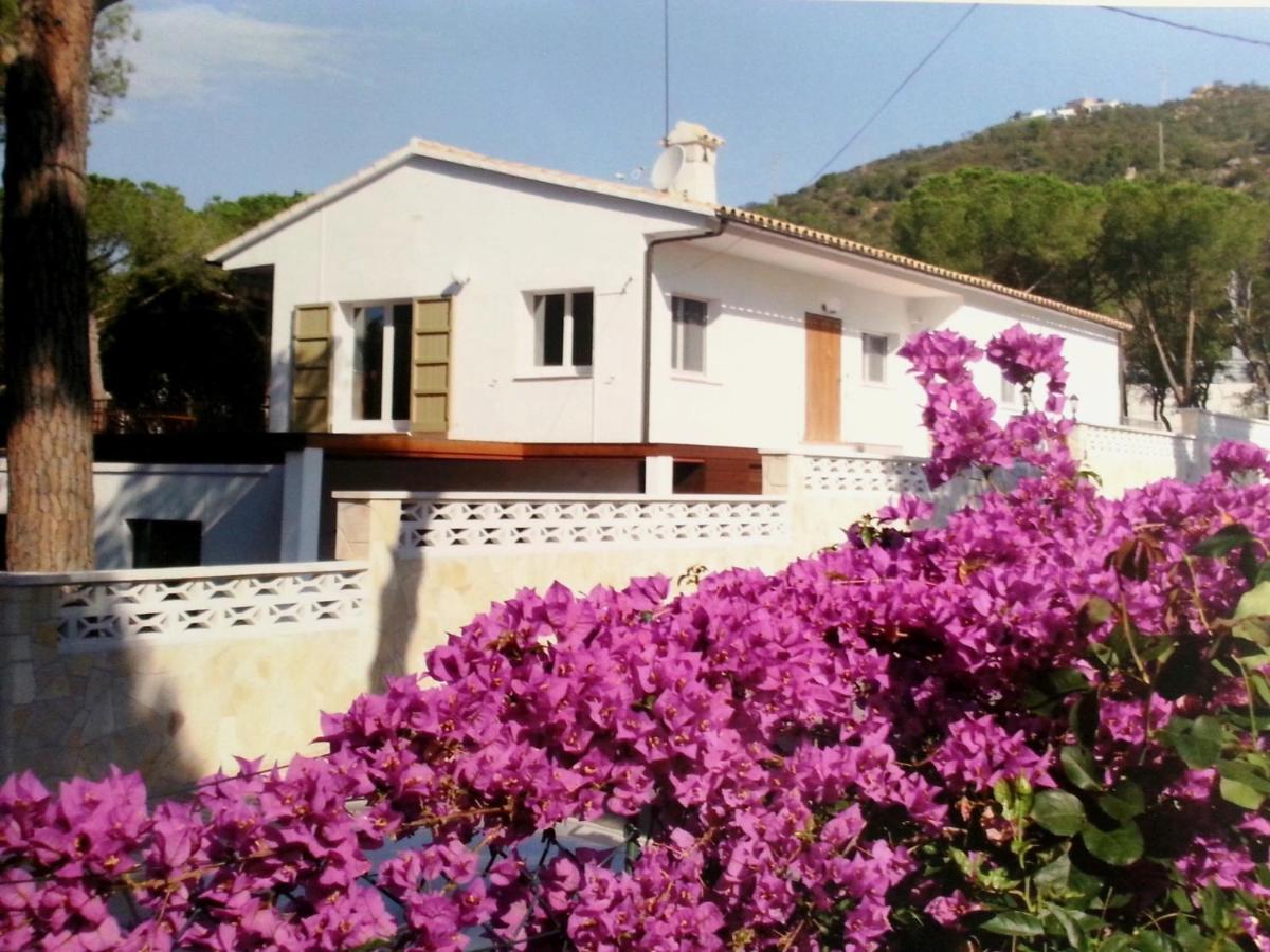 Villa Felices Juntos Platja d'Aro Exterior photo